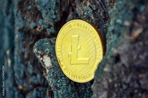 Golden coin of virutal currency laying on bark background