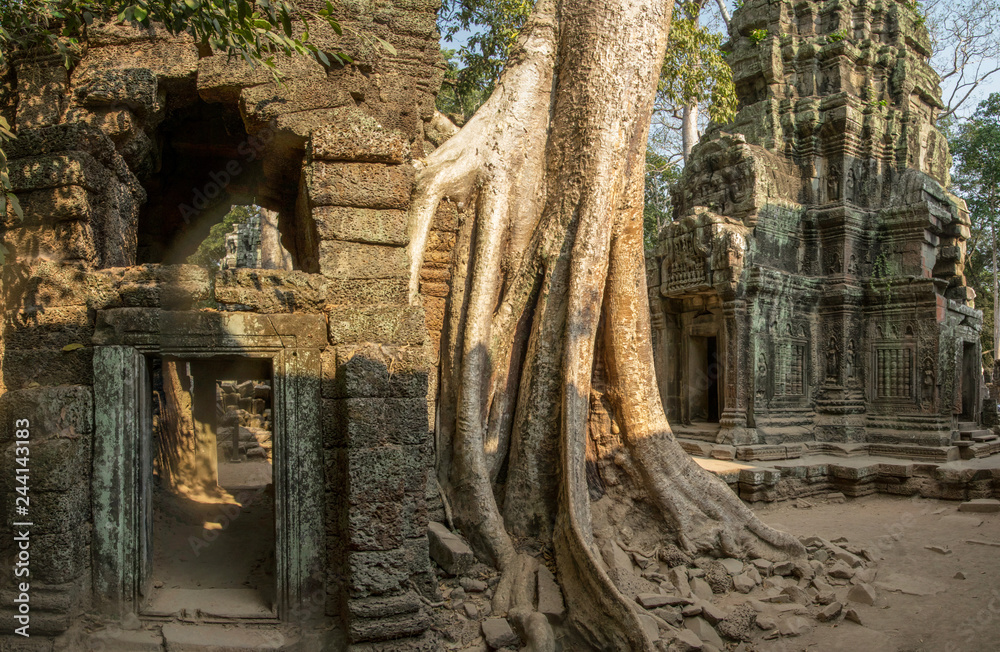 Naklejka premium Ta Prohm Temple - Siem Reap, Cambodia