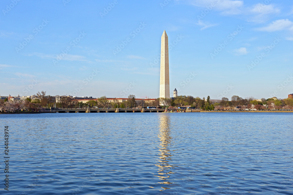 Washington DC panorama during cherry blossom near Tidal Basin, USA. Blossoming cherry trees around Tidal Basin reservoir with Washington Monument in a view on national Mall.
