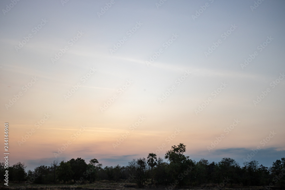Natural scenery,road Natural scenery,road