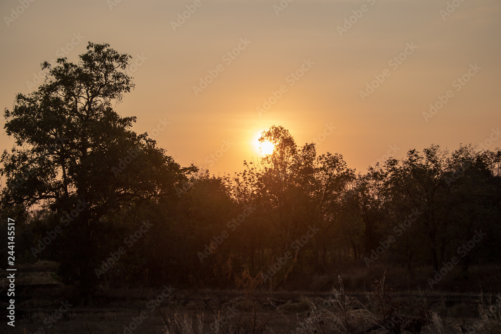 Natural scenery,road 