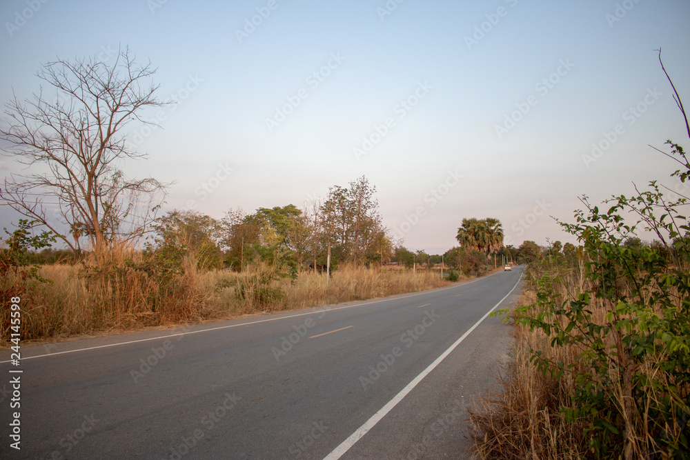 Natural scenery,road 