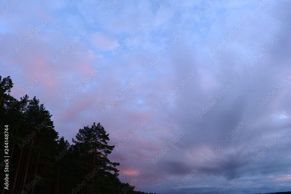 Twilight sky before a thunderstorm over a pine forest