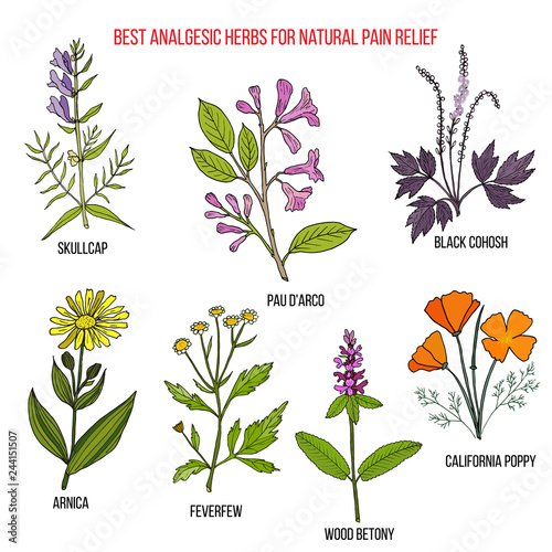 Best analgesic natural herbs for pain relief