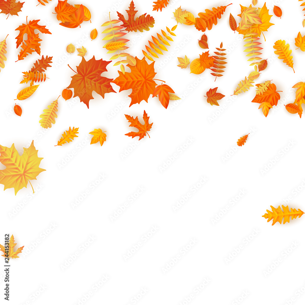 Autumn background with golden maple, oak and others leaves. EPS 10