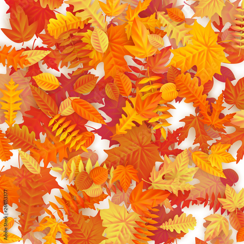 Background of colored wet autumnal maple leaves. EPS 10