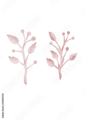 Valentines day. Watercolor style illustration of pink branches with berries on the flat white background