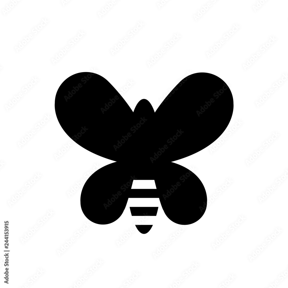 butterfly butterfly