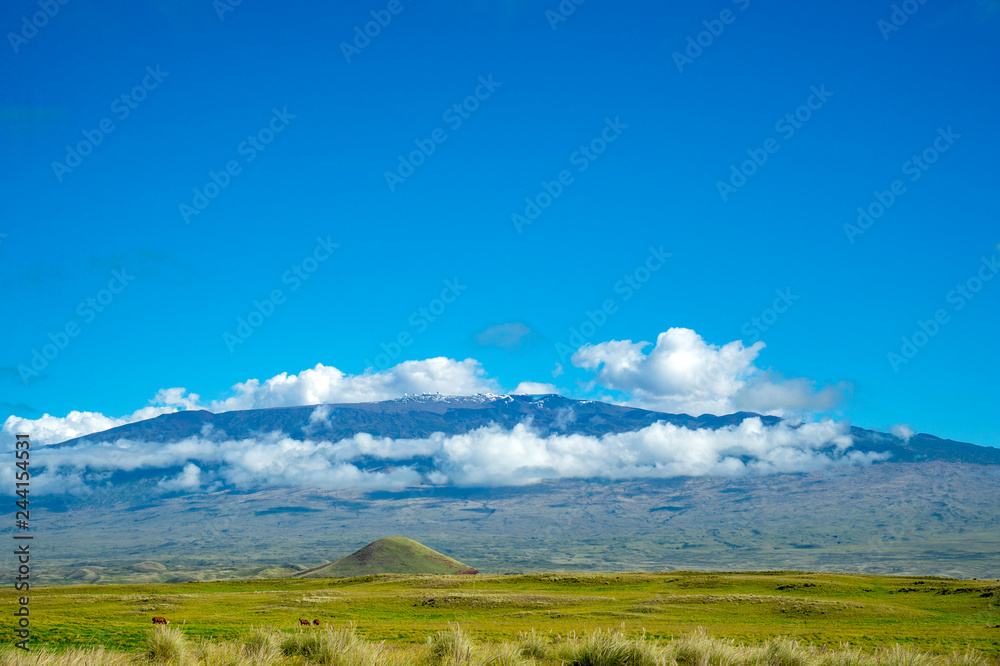 Fototapeta premium Mauna Kea Mountain seen from Kohala Mounten Road