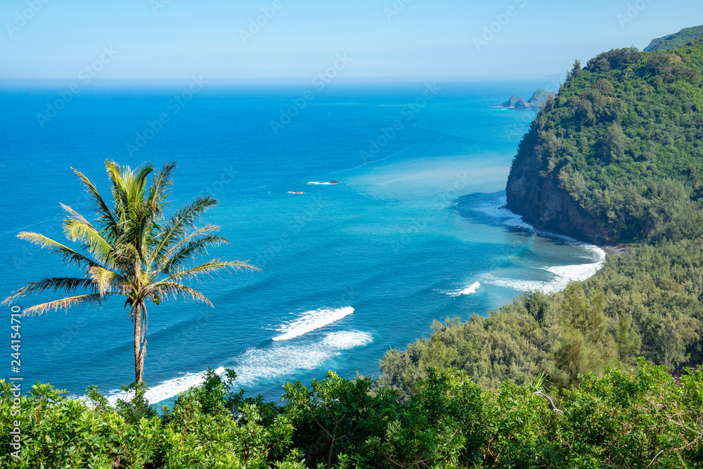 Fototapeta premium POLOLU VALLEY Look Out,Big Island Hawaii