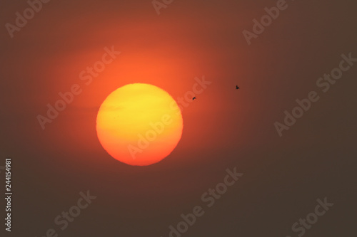 As the sun was rising on a misty morning in England, two birds were about to fly over the sun. You can see a pair of sunspots in the sun.
