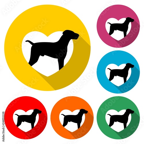 Love Dog icon, Modern Pet Logo, color set with long shadow photo