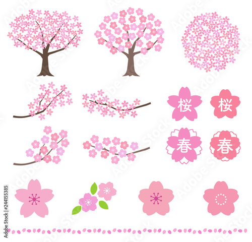 Cherry blossom illustration set