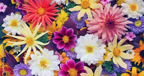 Slika na platnu beautiful floral background for greeting or postcard. toning