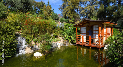 Japanese Garden with Pagoda and Pond  © harlequin9