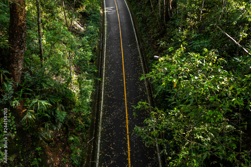 Obraz premium The top view of asphalt road with the yellow continue line after raining with the leaves on the ground in the park. 