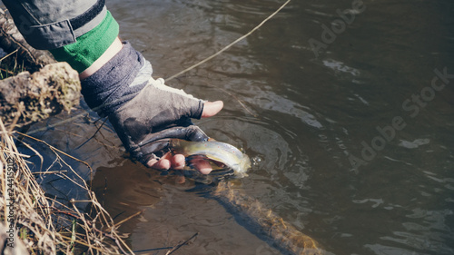 Angler releases a small trout.