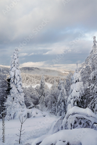 winter landscape in carpathians © Julia