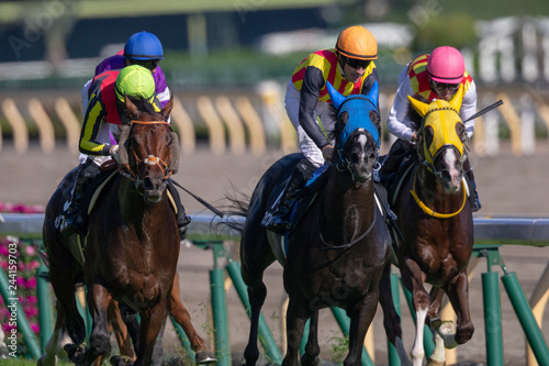 競馬#14 photo