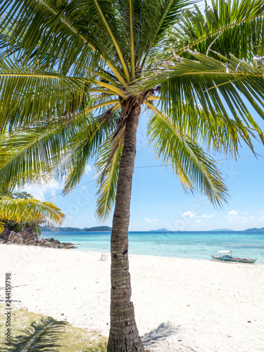 Fototapeta Naklejka Na Ścianę i Meble -  Perfect white sand beach in Philippines. Coconut Palm trees against blue sky, boat in ocean. Sunny weather. Travel Background. Nature landscape. Holiday on exotic island resort. November, 2018