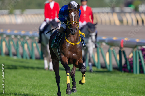Tapety artystyczne 競馬#11