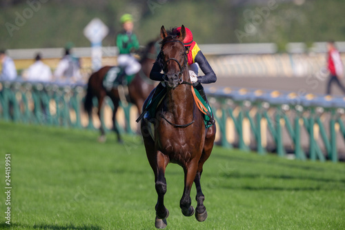 競馬#10