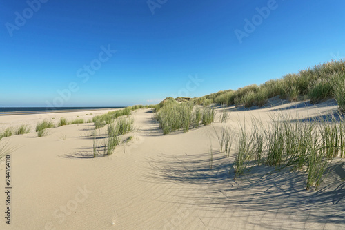 coastal_dunes