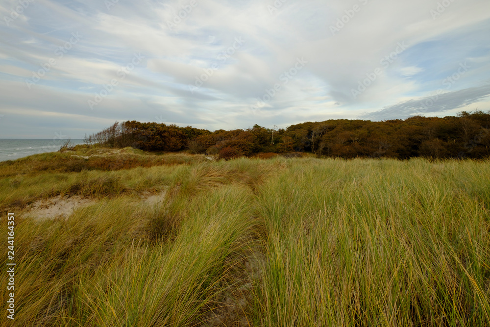 Lichtstimmung am Abend am Darßer Weststrand, Nationalpark Vorpommersche Boddenlandschaft, Mecklenburg Vorpommern, Deutschland Lichtstimmung am Abend am Darßer Weststrand, Nationalpark Vorpommersche Boddenlandschaft, Mecklenburg Vorpommern, Deutschland