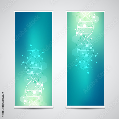 Roll up banner stands with DNA strand and molecular structure. Genetic engineering or laboratory research. Abstract geometric texture for medical, science and technology design.