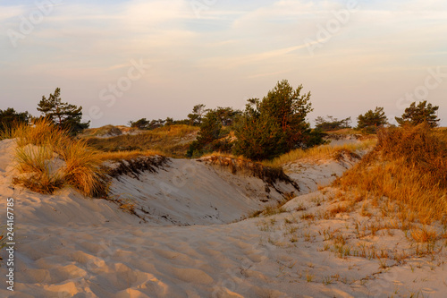 Sonnenaufgang am Darßer Ort an der Ostsee in der Kernzone des Nationalpark Vorpommersche Boddenlandschaft am Darßer Weststrand, Mecklenburg Vorpommern, Deutschland photo