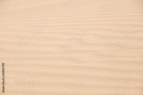 Beach land and parks sand texture and pattern background - Image