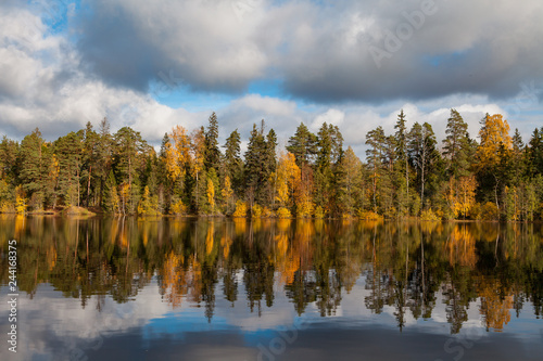 Autumn colorful foliage with lake reflection. © yegorov_nick