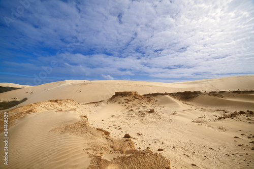 Desert landscape, sandy dune - New Zealand - Image