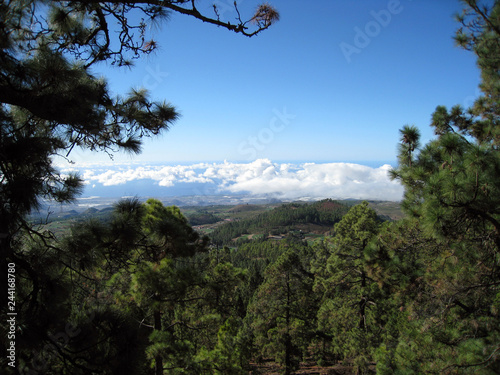Wallpaper Mural  Ponaramny view in the mountains Torontodigital.ca