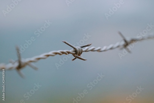 broken barbed wire fence in the farm in the nature