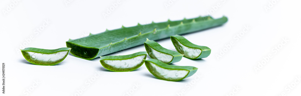 on white background isolated aloe vera leaves and freshly cut leaf slices on white background isolated aloe vera leaves and freshly cut leaf slices