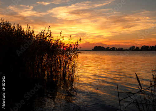 Lichtstimmung am Abend bei Zarrenzin mit Blick zur Insel Bock im Nationalpark Vorpommersche Boddenlandschaft, Mecklenburg Vorpommern, Deutschland © dina