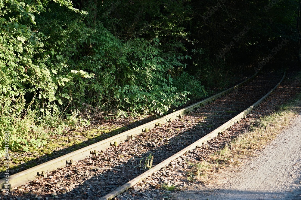 Totes Gleis im Wald Stock Photo | Adobe Stock