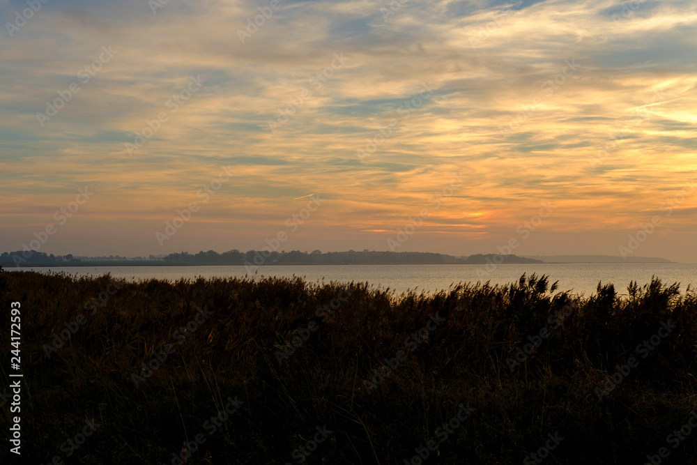 Fototapeta premium Lichtstimmung am Abend bei Zarrenzin mit Blick zur Insel Bock im Nationalpark Vorpommersche Boddenlandschaft, Mecklenburg Vorpommern, Deutschland