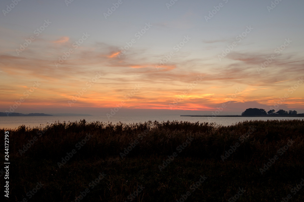 Obraz premium Lichtstimmung am Abend bei Zarrenzin mit Blick zur Insel Bock im Nationalpark Vorpommersche Boddenlandschaft, Mecklenburg Vorpommern, Deutschland