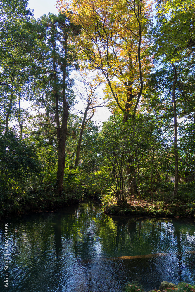 秋の兼六園　紅葉