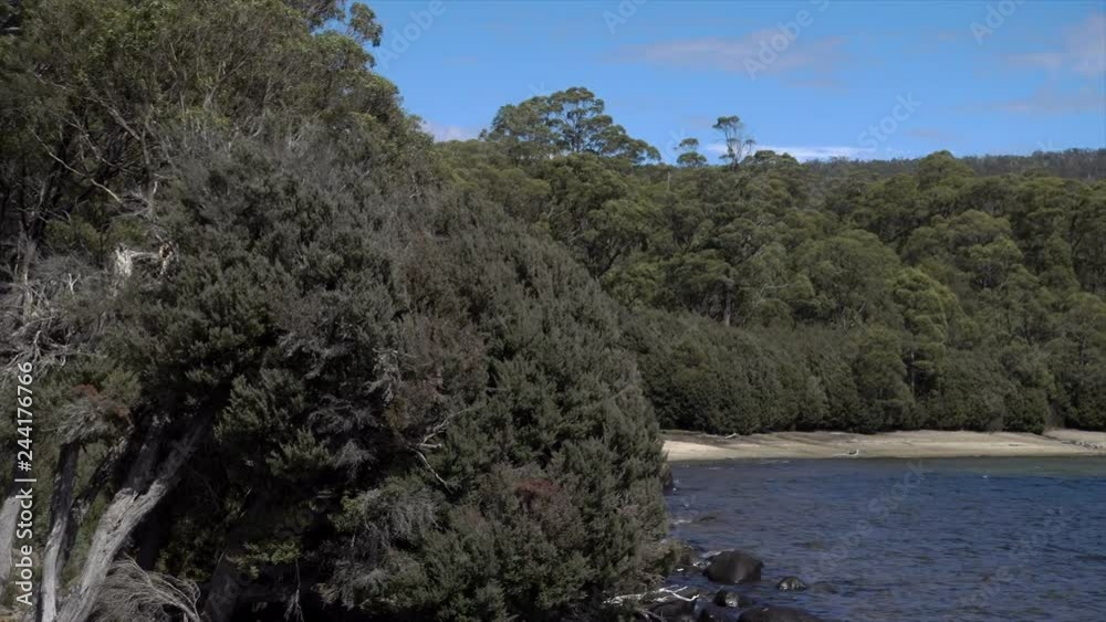 Lake Burbury St Clair Lake National Park in Tasmania, Australia Lake Burbury St Clair Lake National Park in Tasmania, Australia