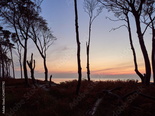 Lichtstimmung am Abend am Darßer Weststrand, Nationalpark Vorpommersche Boddenlandschaft, Mecklenburg Vorpommern, Deutschland. photo