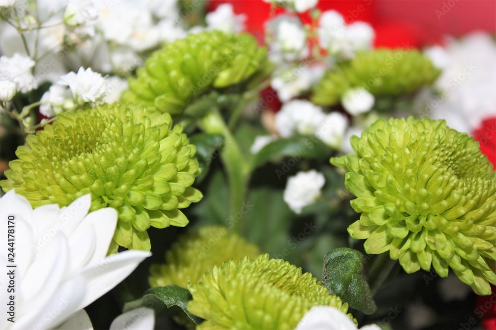 A flower bouquet with a lot of different flowers A flower bouquet with a lot of different flowers