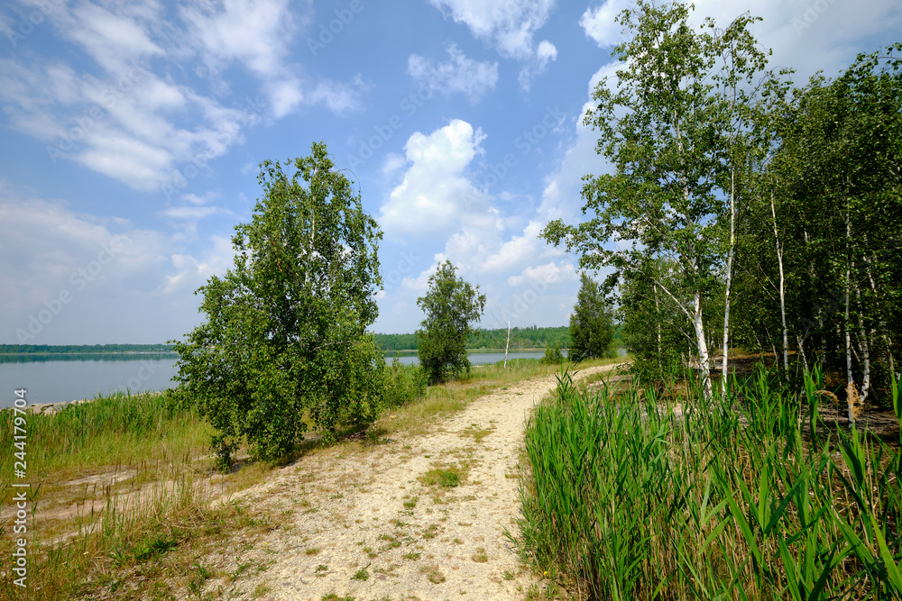 Obraz premium Natur am Großkaynaer See oder Südfeldsee bei Großkayna - einem ehemaligen Tagebau - in der Nähe von Merseburg, Burgenlandkreis und Saalkreis, Sachsen-Anhalt, Deutschland