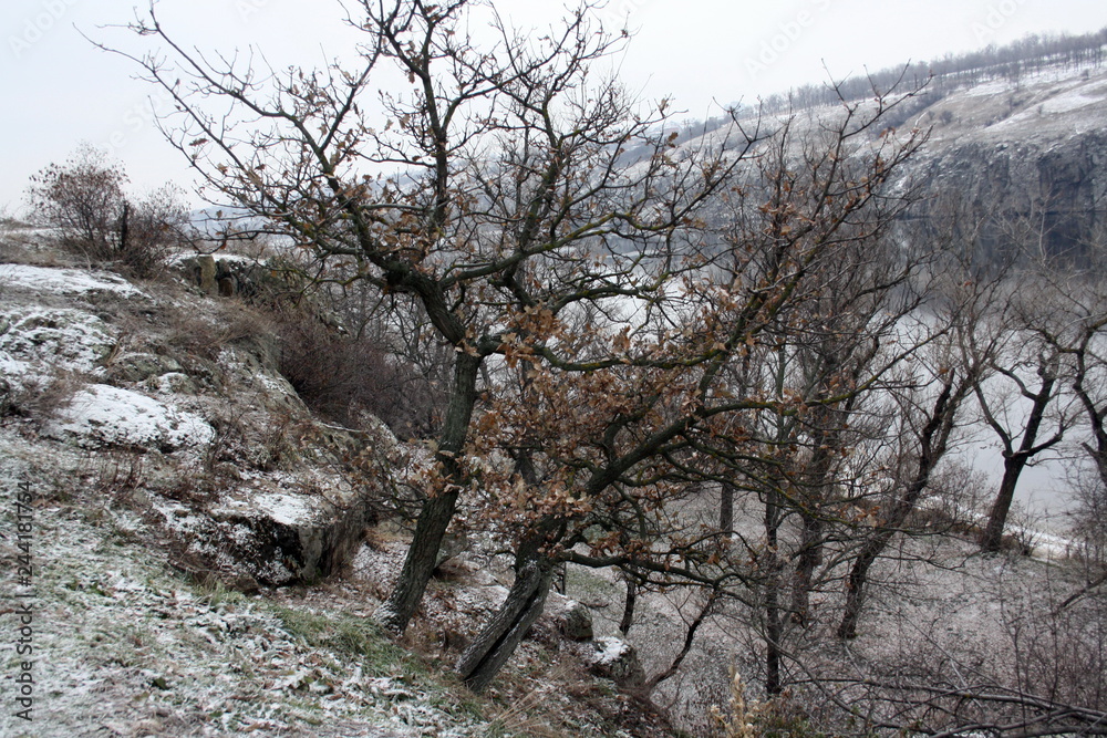 Winter landscape. Trees growing on the rocks against the backdrop of the river Winter landscape. Trees growing on the rocks against the backdrop of the river