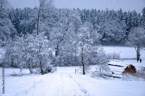 Beautiflul snow-covered winter landscape in Bavaria, Germany © Mirjam Claus
