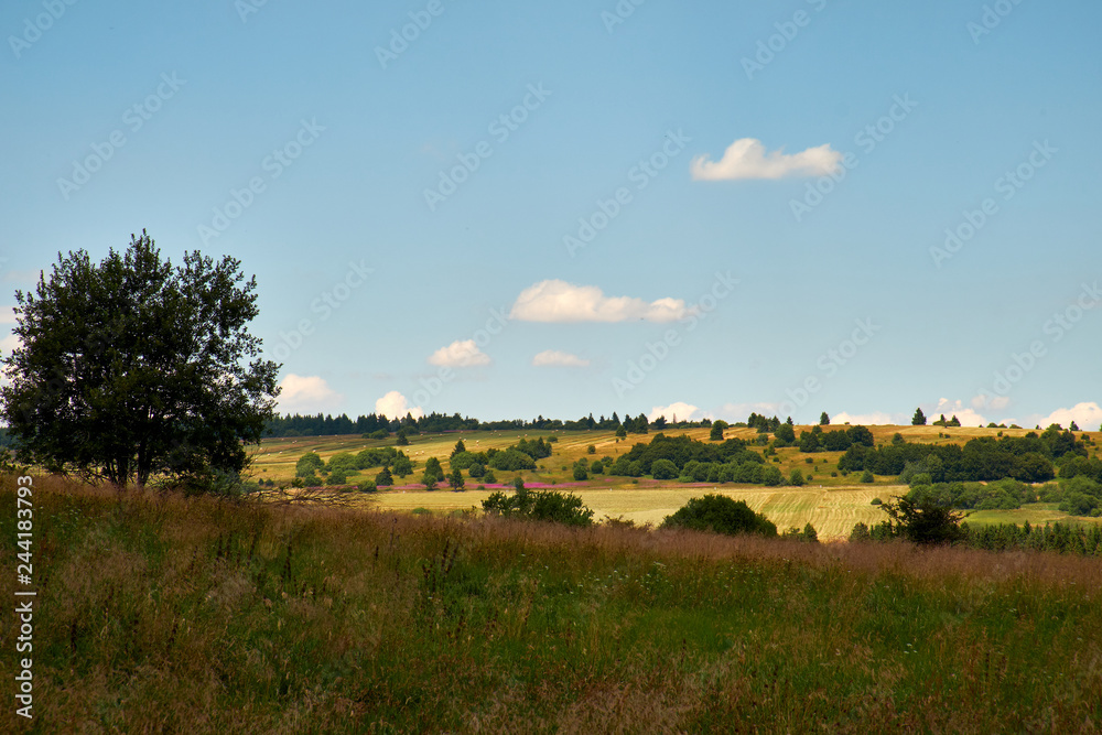 Am Bauersberg, Biosphärenreservat Rhön, Bischofsheim a.d.Rhön, Landkreis Rhön-Grabfeld, Unterfranken, Franken, Bayern, Deutschland.