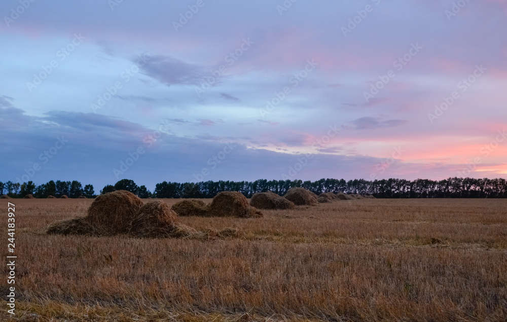 Straw bales on farmland with pink sunset sky