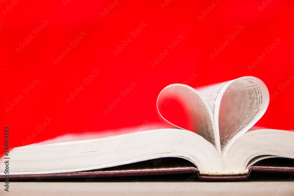 Bible and day in love Bible and day in love